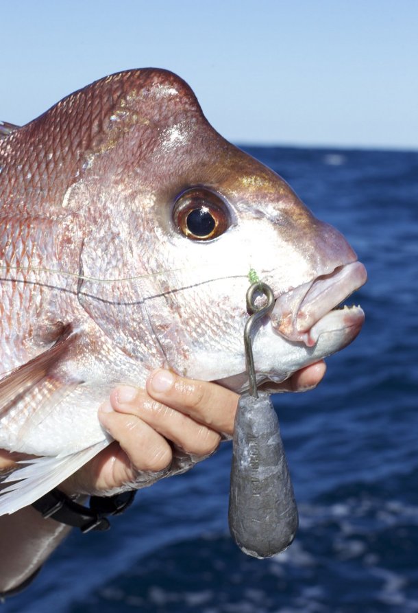 VIDEO: How a release weight works